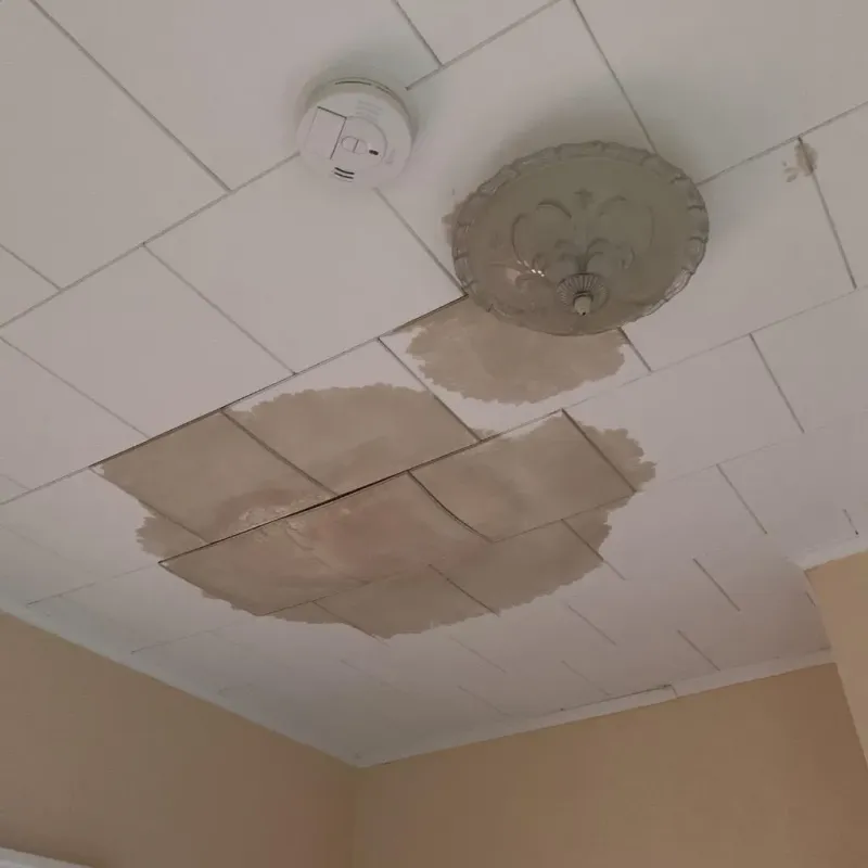 Ceiling Water Damage Repair in Hephzibah, GA